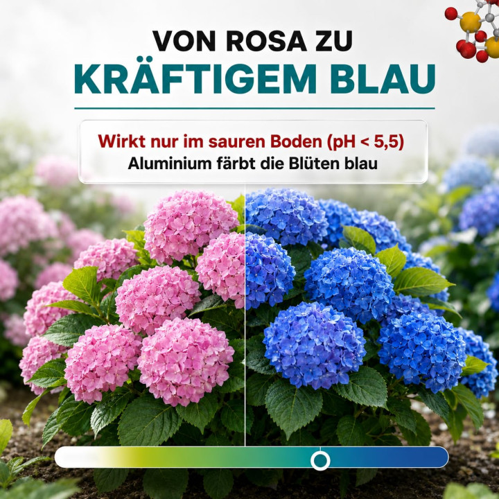 GiDeli Aluminiumsulfat 5 kg Pulver - Flockungsmittel für Wasseraufbereitung
