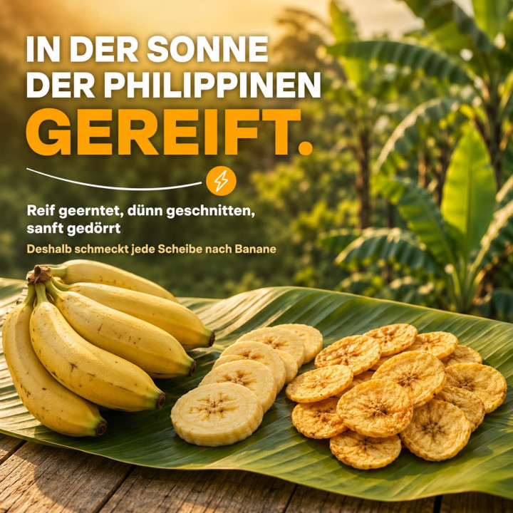 Bananenchips 20kg - Ungesüßt Getrocknete Bananen | GiDeli