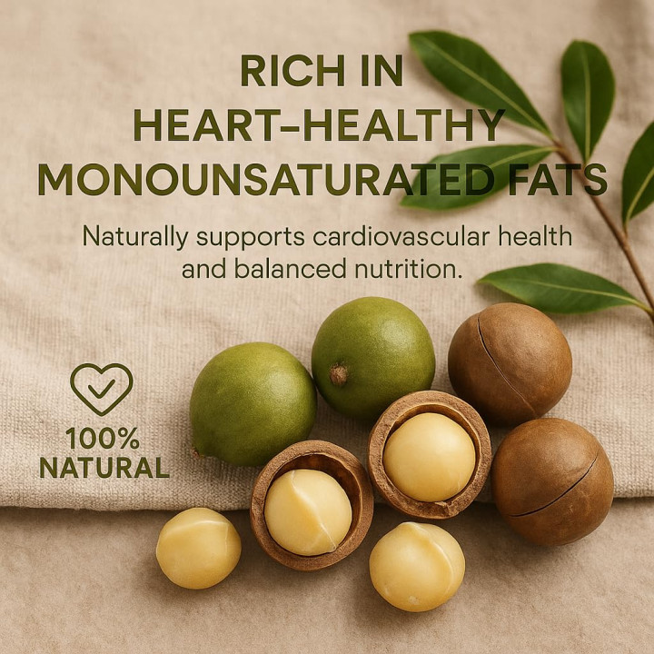 Macadamianüsse Bruch 25kg - Macadamia Ungesalzen | GiDeli