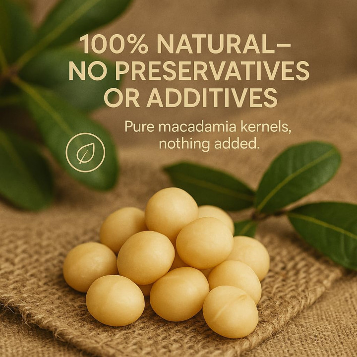 Macadamianüsse Bruch 25kg - Macadamia Ungesalzen | GiDeli