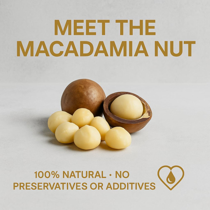 Macadamianüsse Bruch 20kg - Macadamia Ungesalzen | GiDeli