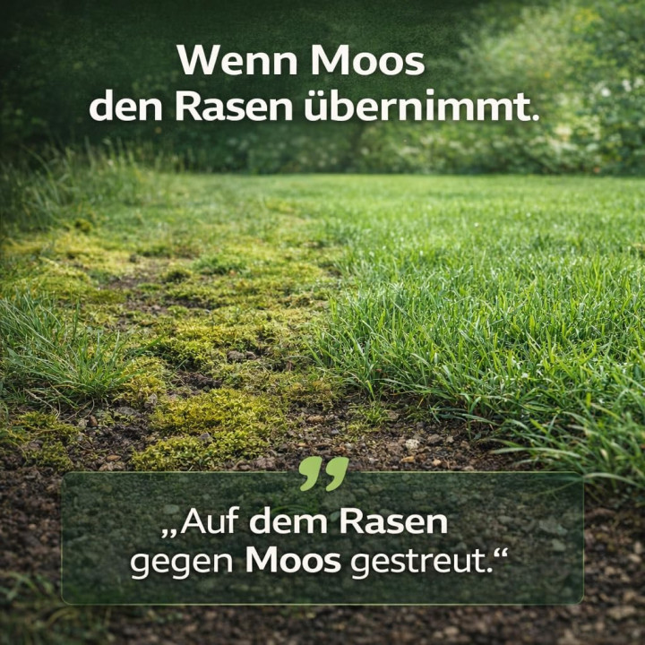Dolomitkalk 10kg - Rasenkalk Moosentferner | GiDeli