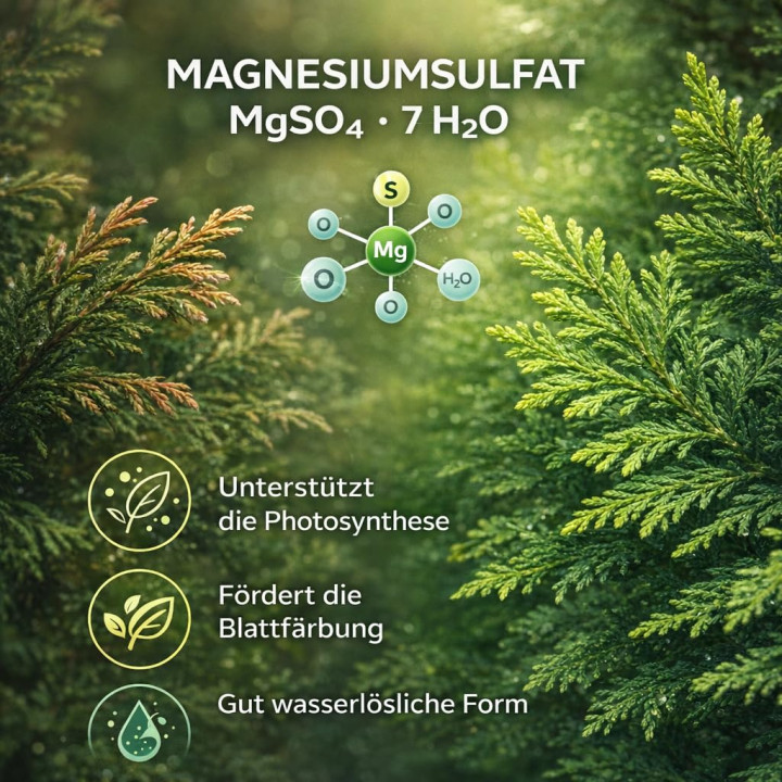 Bittersalz 1kg - Magnesiumsulfat Koniferen Hecken | GiDeli