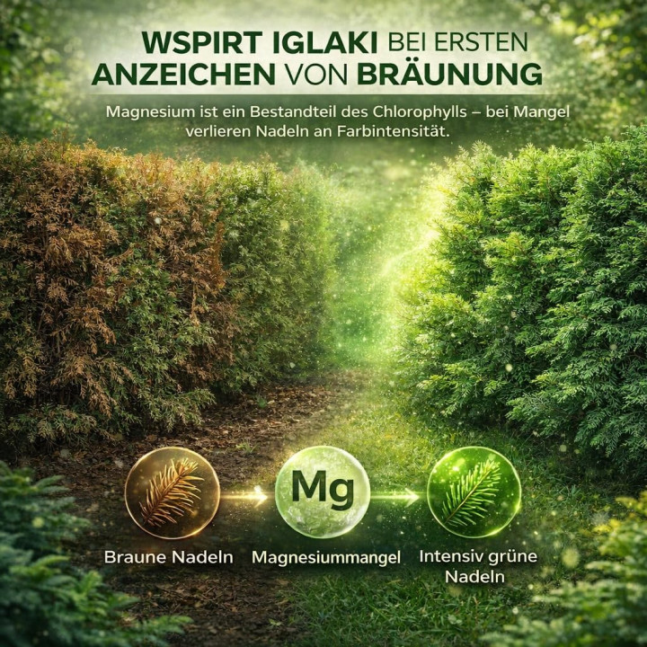 Bittersalz 500g - Magnesiumsulfat Koniferen Hecken | GiDeli