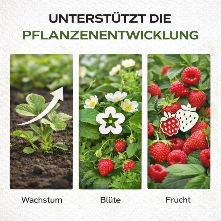 Dünger Erdbeeren Himbeer 2kg - NPK 9-9-15 | GiDeli