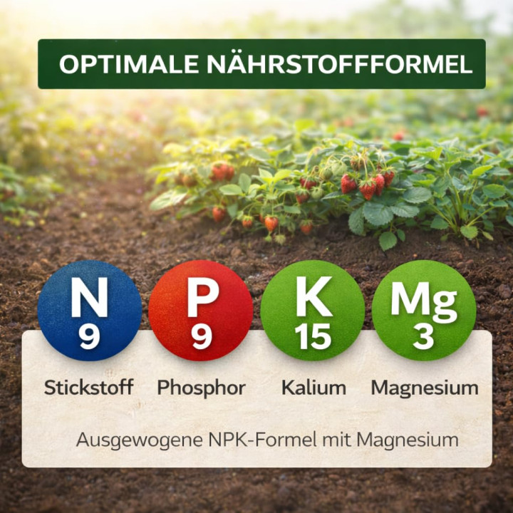 Dünger Erdbeeren Himbeer 3kg - NPK 9-9-15 | GiDeli
