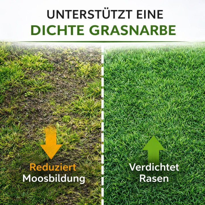 Rasendünger 20kg - 1000m² Granulat Moos-Stopp | GiDeli