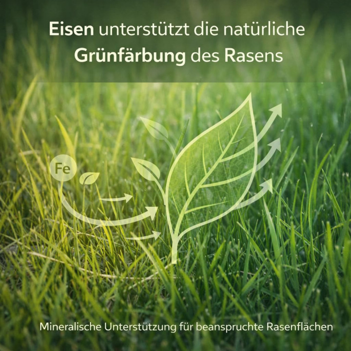 Eisendünger 20kg - Rasendünger Eisensulfat | GiDeli