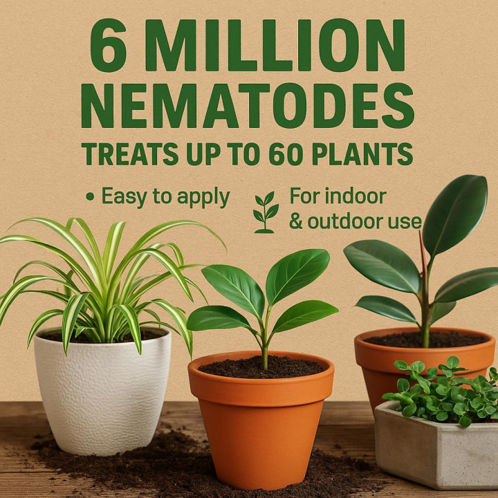 SF Nematoden 100 Mio - gegen Trauermücken Thripse | GiDeli
