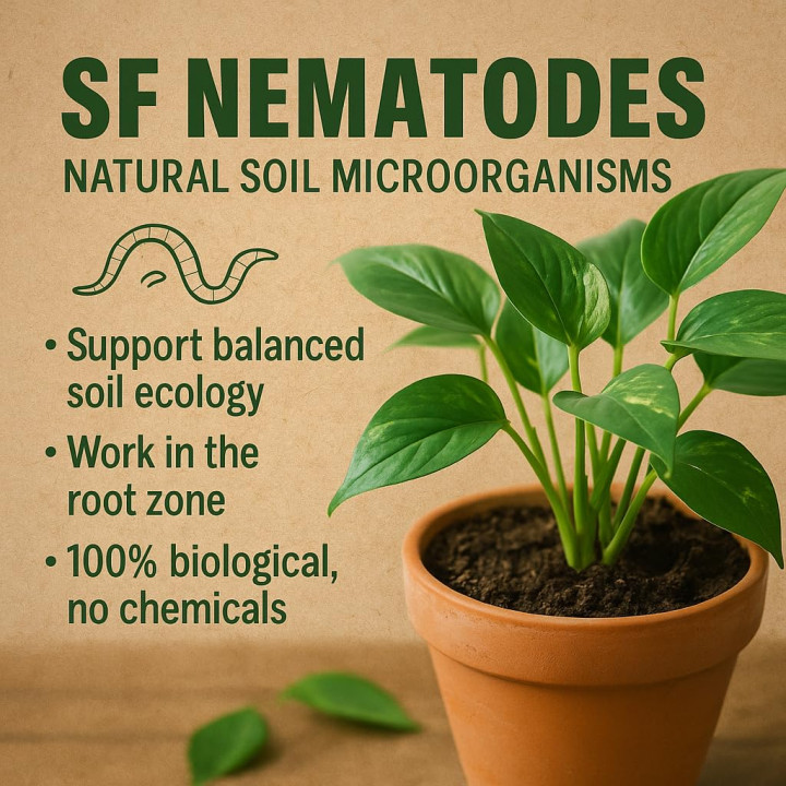 SF Nematoden 3 Mio - gegen Trauermücken Thripse | GiDeli