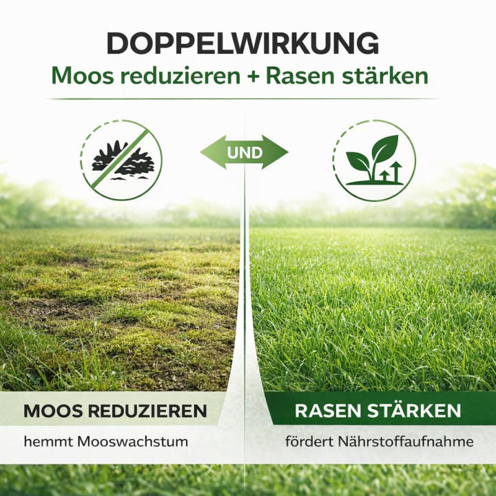 Anti-Moos Rasendünger 3kg - NPK 8-8-11 Frühjahr | GiDeli